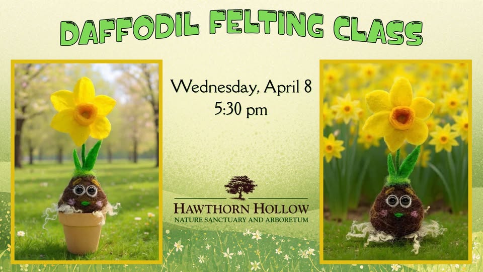 Daphne The Daffodil Needle Felting Workshop — April 8, 2026 at Hawthorn Hollow