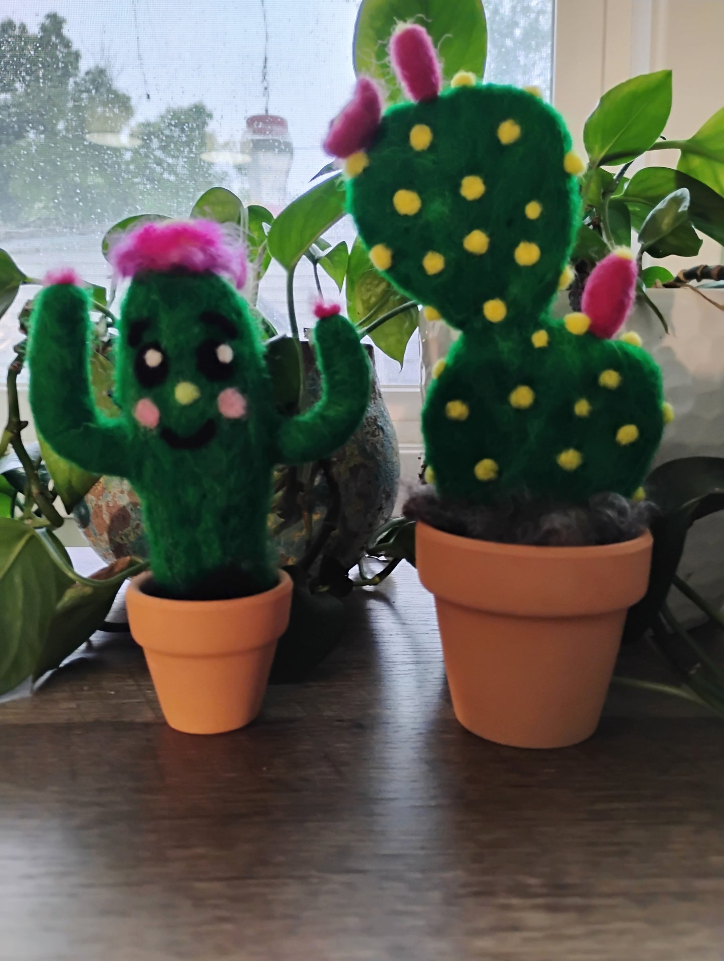 Needle Felt a Cactus - Coffee & Create -- At East View Coffee Roasters - July 19th