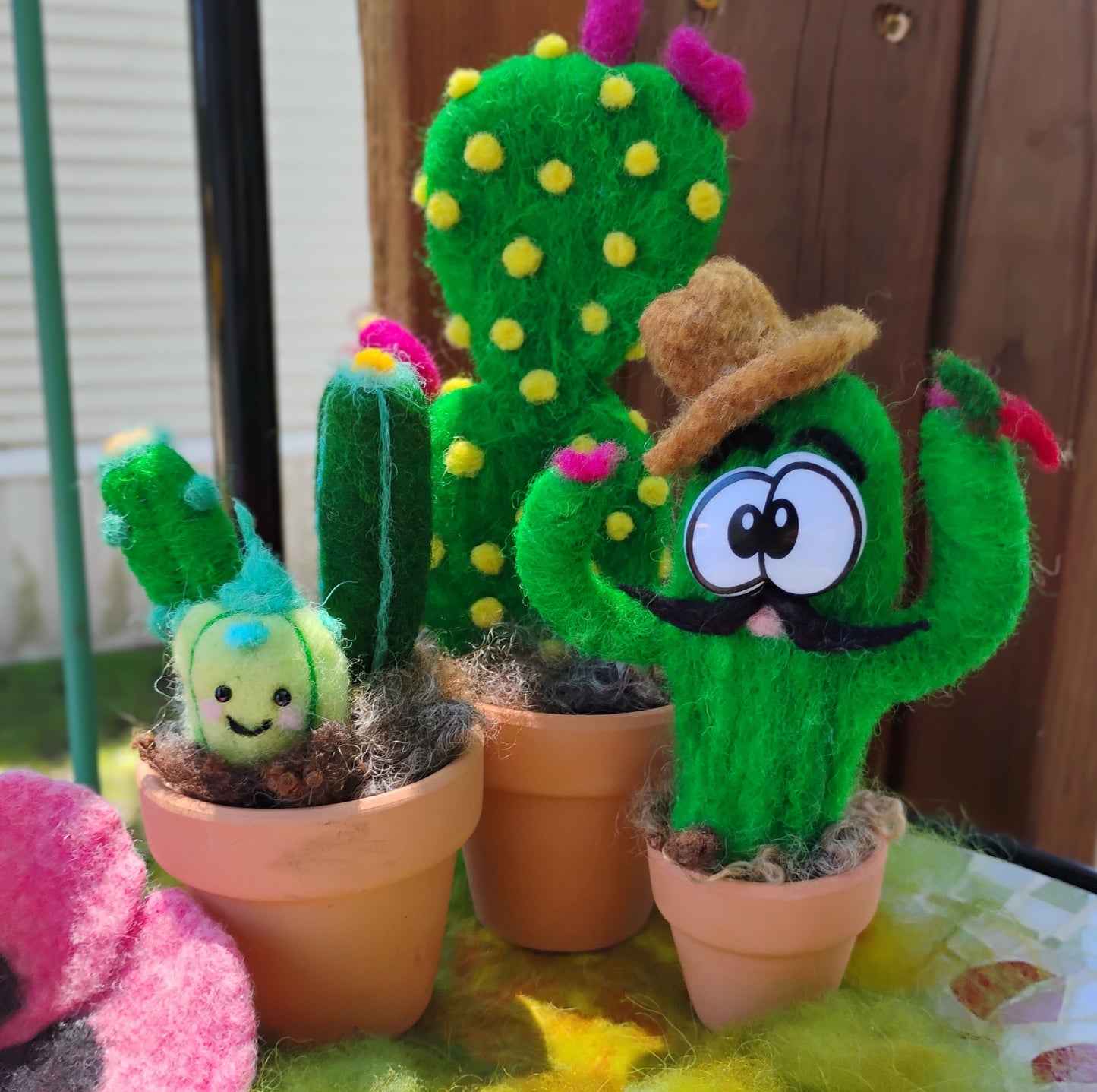 Needle Felt a Cactus - Coffee & Create -- At East View Coffee Roasters - July 19th