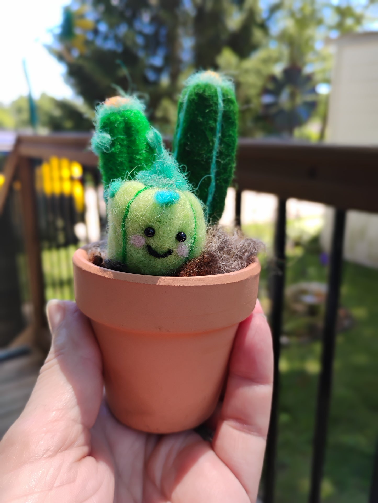 Needle Felt a Cactus - Coffee & Create -- At East View Coffee Roasters - July 19th