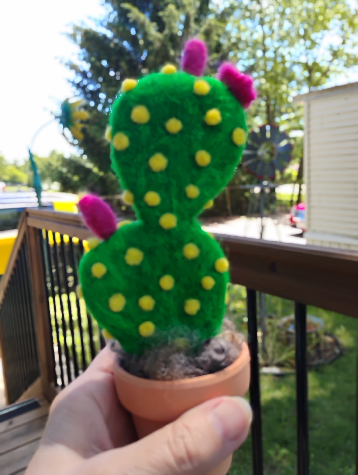 Needle Felt a Cactus - Coffee & Create -- At East View Coffee Roasters - July 19th